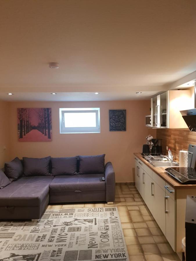 Gemuetliche Ferienwohnung Mit Kamin Und Sauna! Nistertal ภายนอก รูปภาพ