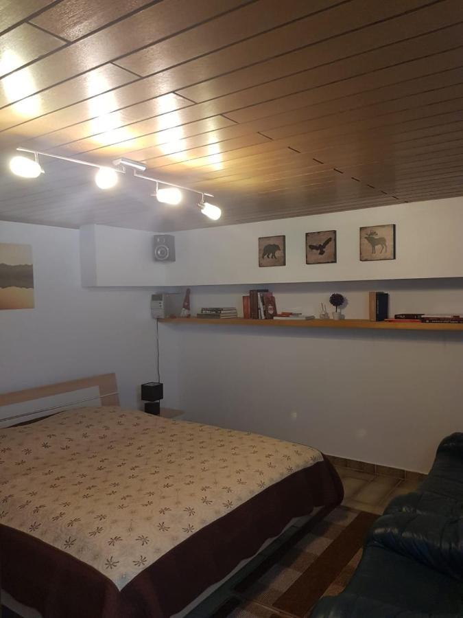 Gemuetliche Ferienwohnung Mit Kamin Und Sauna! Nistertal ภายนอก รูปภาพ